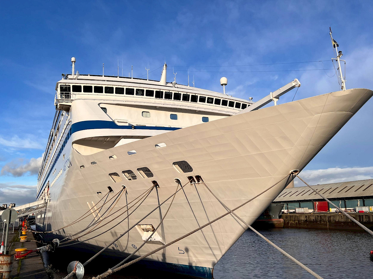 Ambassador Ambition - Contract Win!